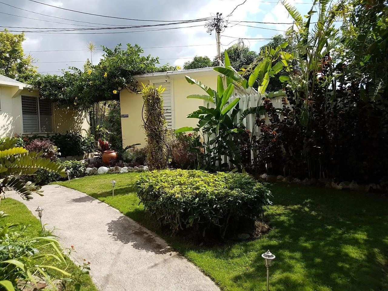 Kingston Cottage Penzion