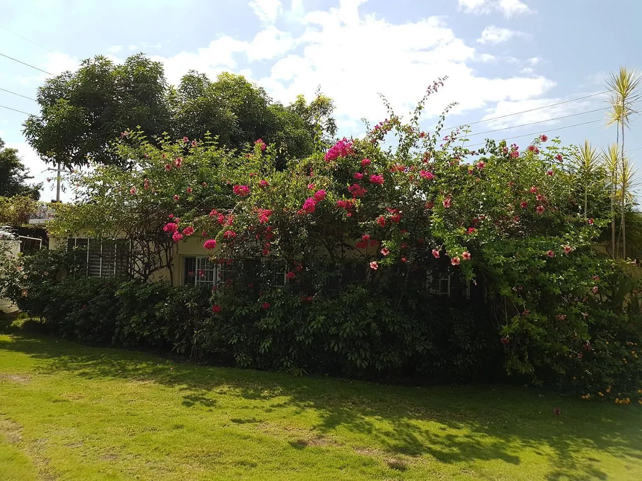 Kingston Cottage Jamajka